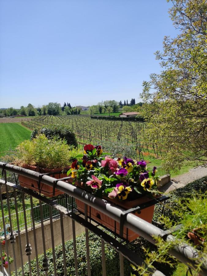 Agriturismo La Vigna Colà المظهر الخارجي الصورة