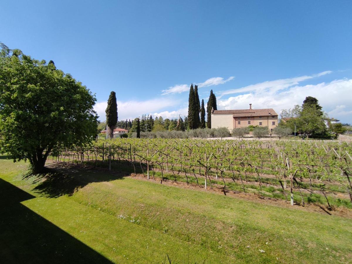 Agriturismo La Vigna Colà المظهر الخارجي الصورة